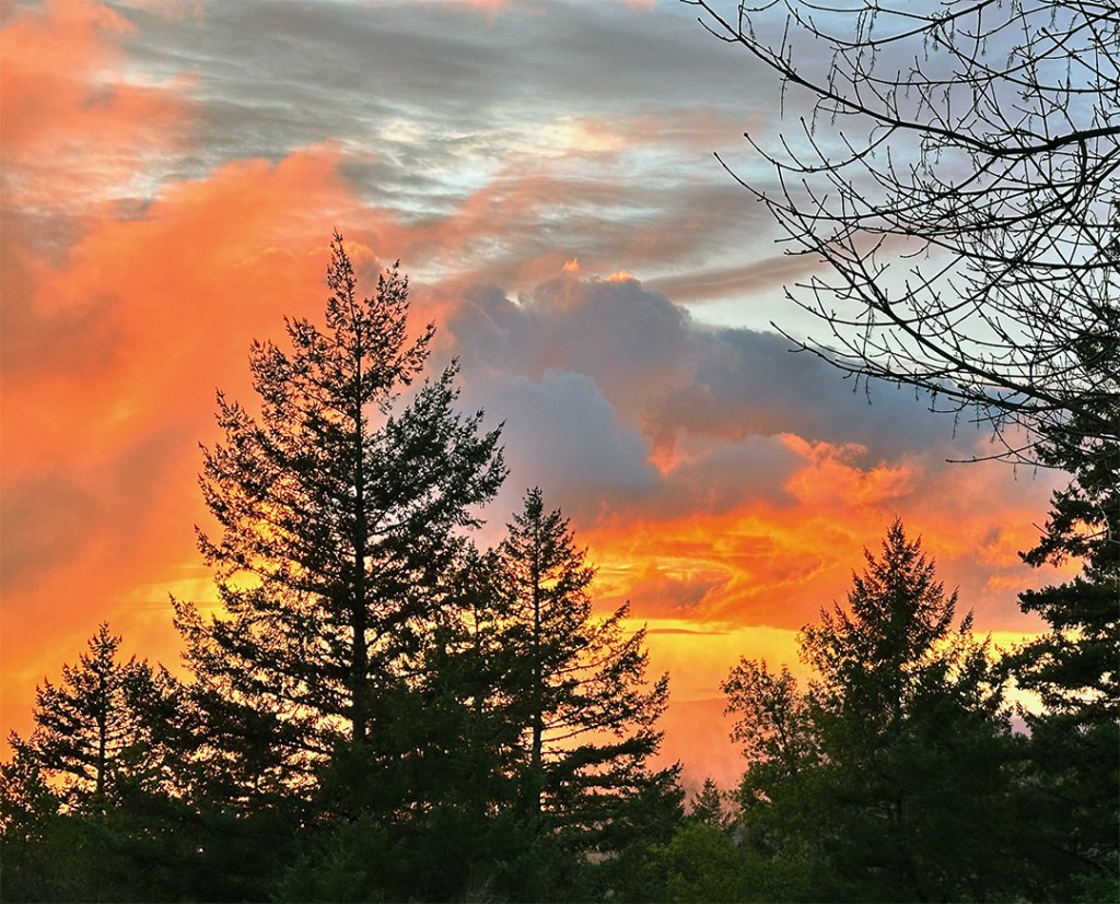 Mendocino County sunset New Years Eve 2023