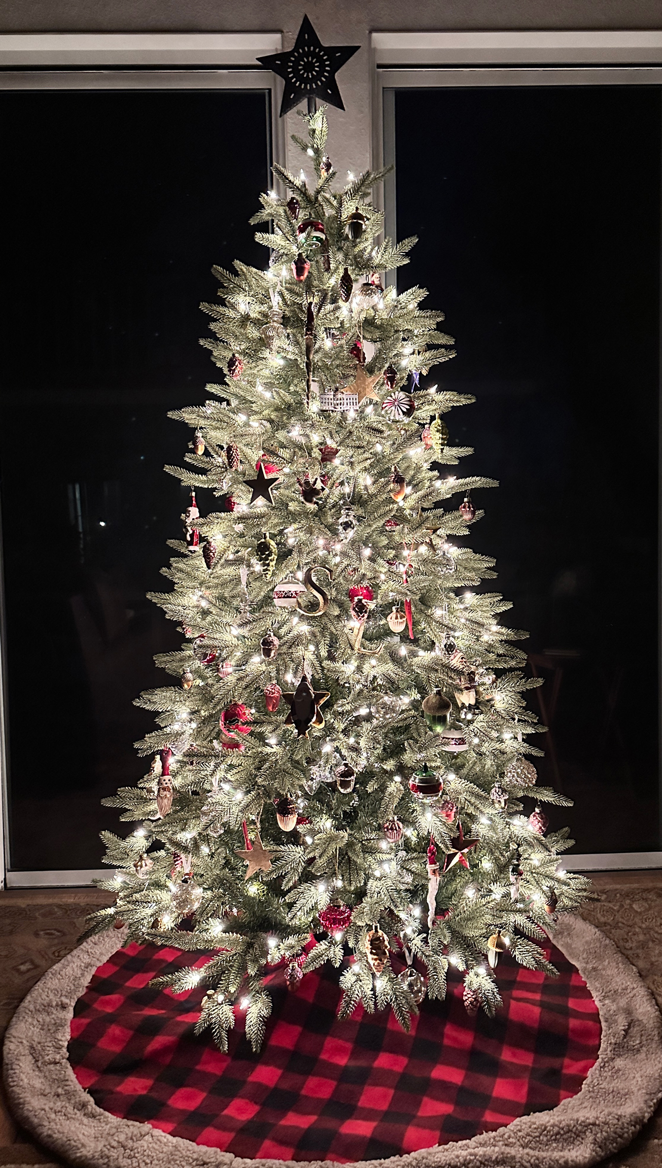 tree 2024 by lana eberhard